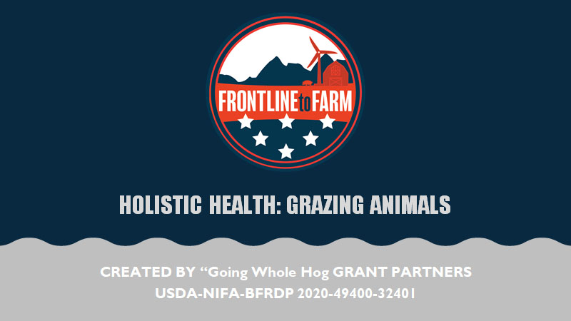 Holistic Health: Grazing Animals